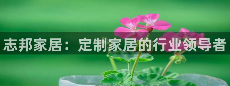 ug环球网