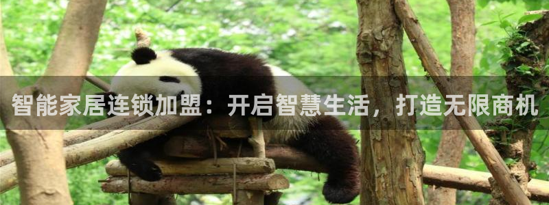 UG环球会员官方
