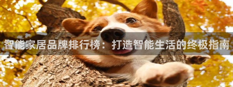 ug环球官网注册会员
