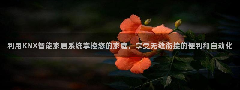 uG环球游戏网站