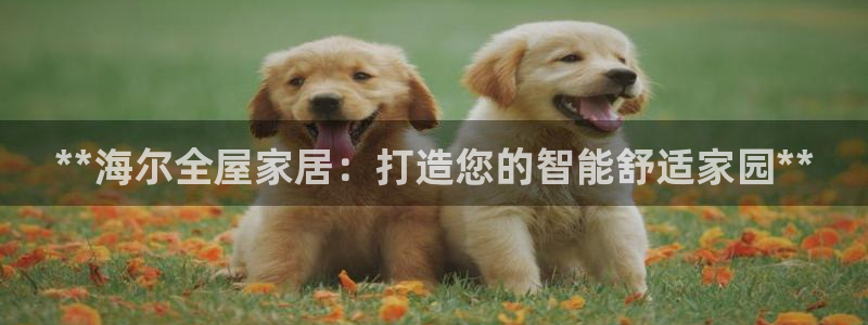 ug环球买分卖分