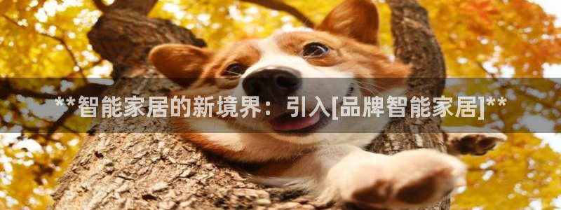 环球ug包杀网一比一