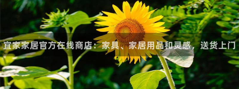 ug环球密码重置是多少位数