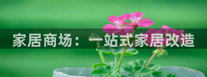 UG环球假网合作