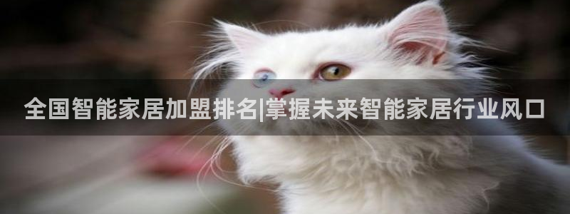 ug环球官网代理