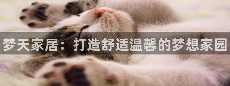 ug环球代理