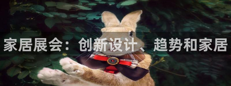 ug环球国际买分