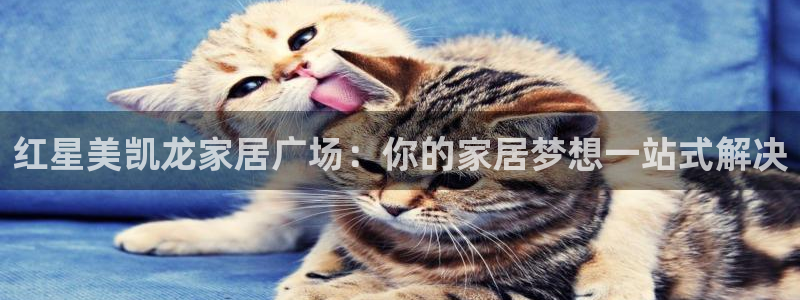 ug环球注册登录