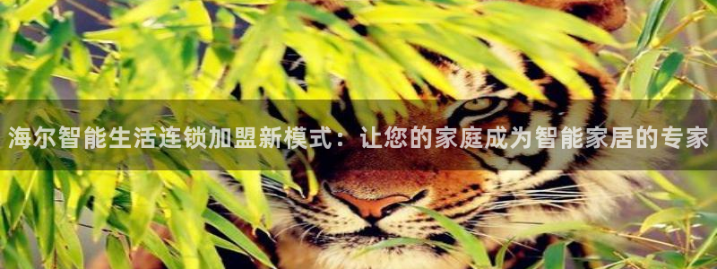 ug环球正网开户