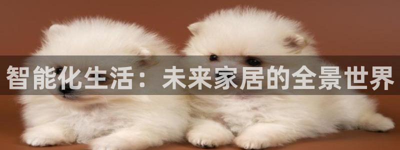 ug环球包杀网一比一