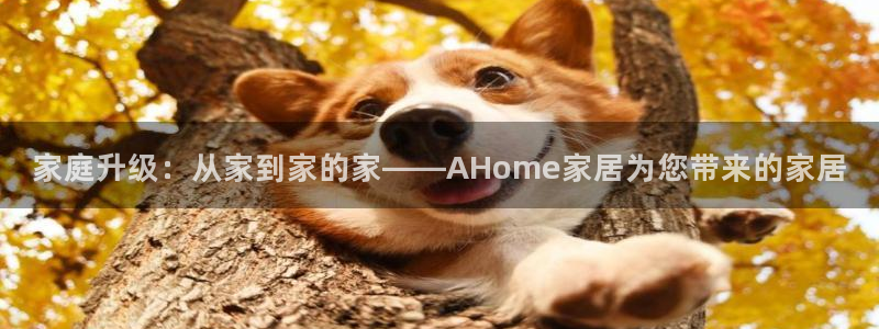 环球ug包杀网