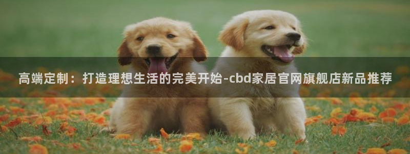 ug环球国际买分