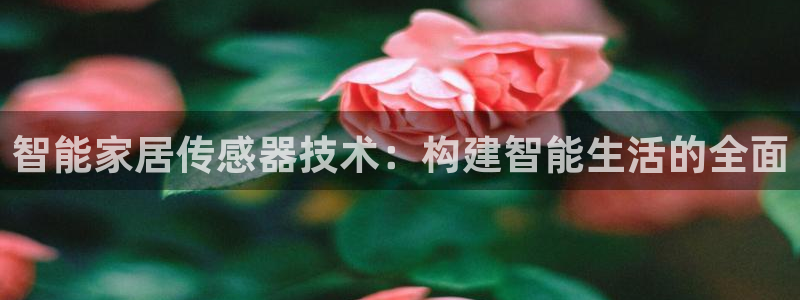 ug环球假网一比一