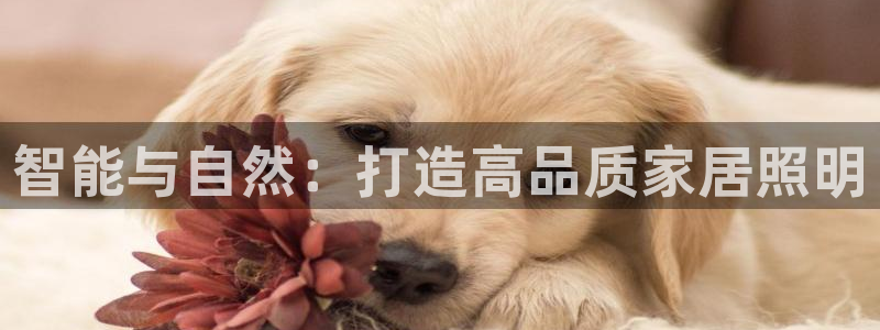 ug环球国际