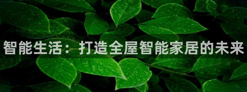 UG环球会员官方