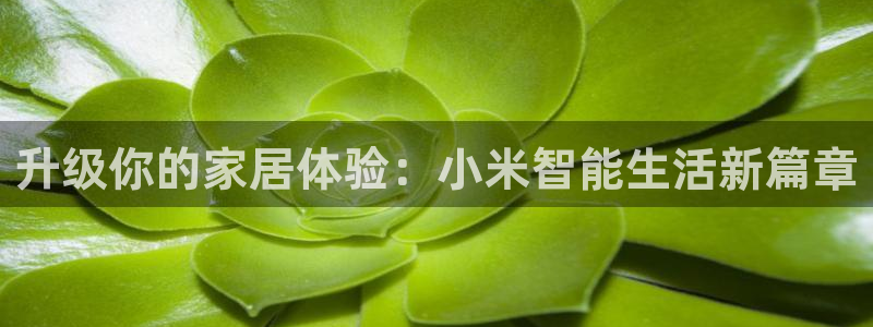 ug环球官网开户