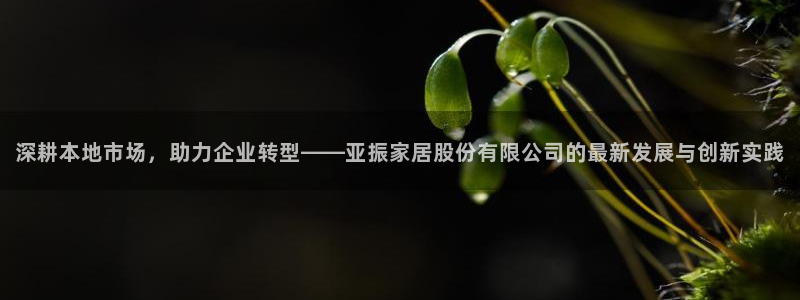 ug环球正网包杀